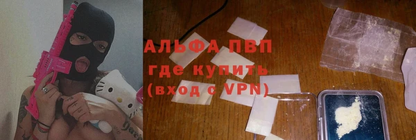 стаф Богородск