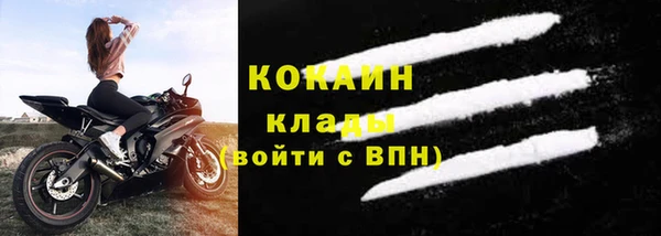 стаф Богородск