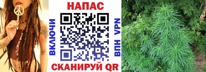 omg ТОР  Светлый  Каннабис Ganja  где купить наркотик 